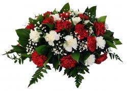 Композиция из живых цветов на гроб (50см) 